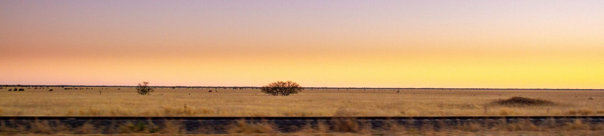 Panoramic sunset view over the flat grasslands of Julia Creek, with railway tracks in the foreground and a sky fading from orange to purple.